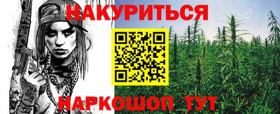 прущие грибы Заводоуковск