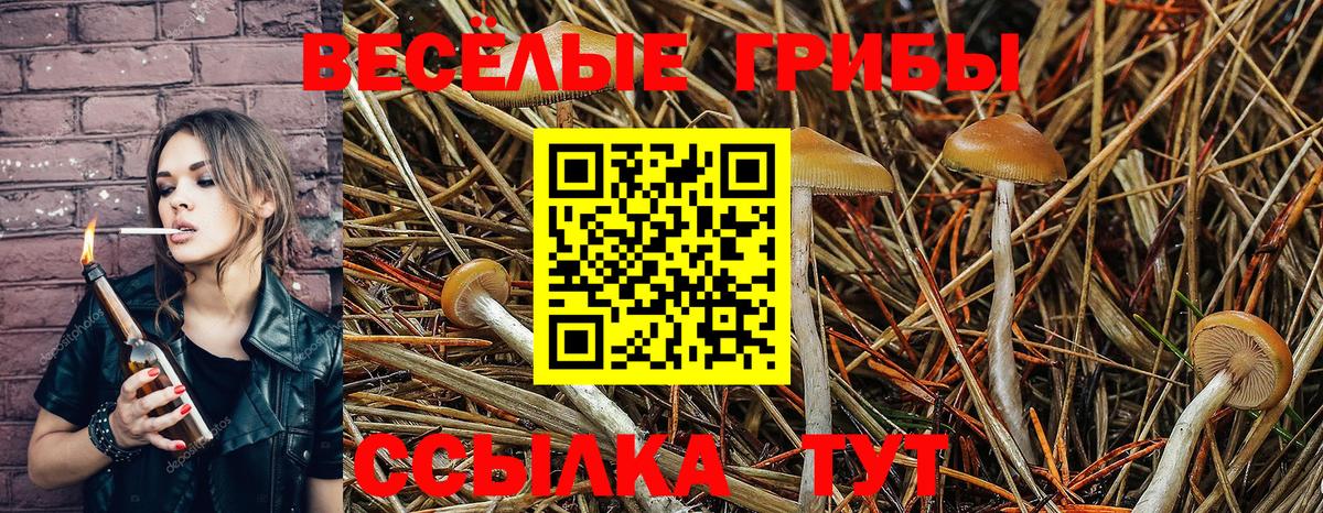 Галлюциногенные грибы Psilocybe  Вход с VPN  Кстово 